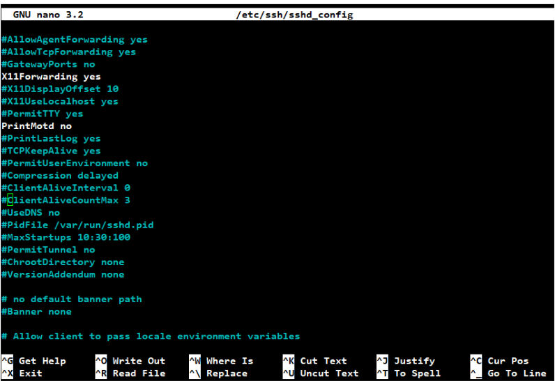 Enhancing Security: A Guide To Using SSH Keys On Your VPS | Web Hosting ...