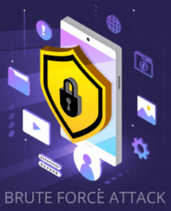 Brute Force Attacks