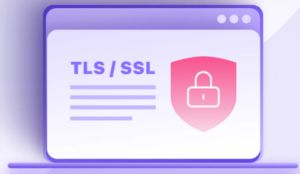 SSL certificate 