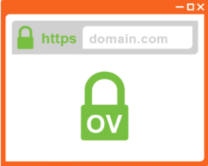 SSL certificate