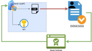 SSL certificate