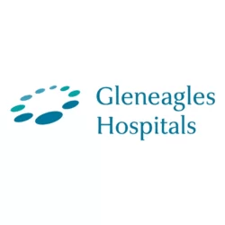 seo for doctor gleneagles hospital
