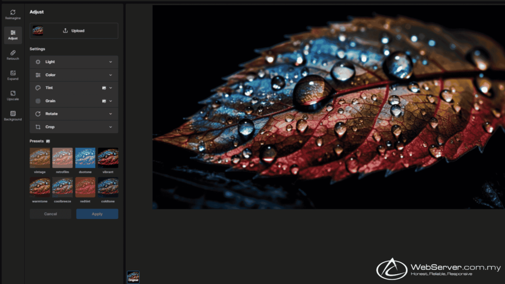 Add High-Quality Images and Videos